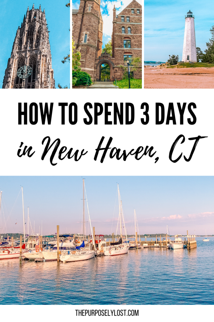 New Haven travel - Lonely Planet