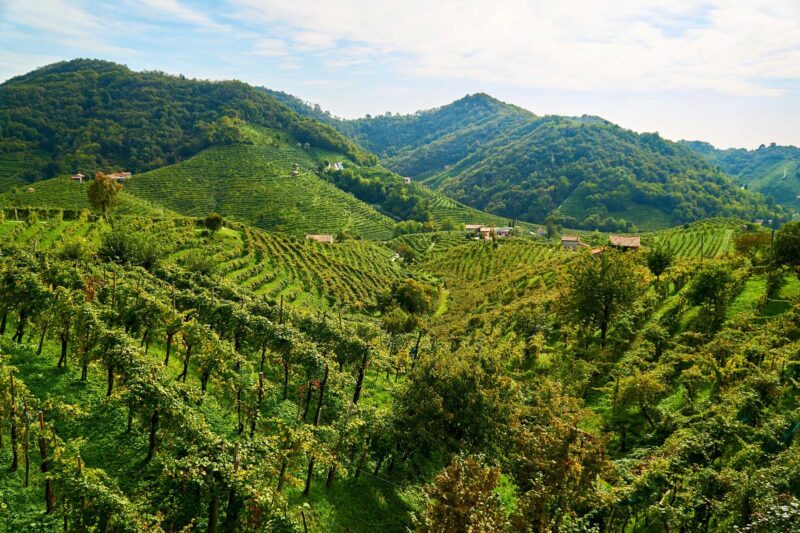 23 Outstanding Wine & Prosecco Tours From Venice, Italy — The Purposely ...