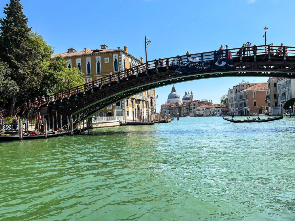 This is an image of the academia bridge in Venice Italy.